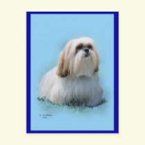 Lhasa Apso Postcard