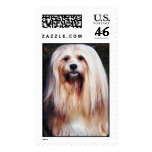 Lhasa Apso Stamp (LARGE)