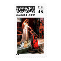 Lhasa Apsos (three) - The Accolade Stamp