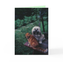 Lhasa Luv cards