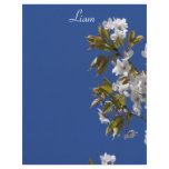 Liam Blossom Letterhead