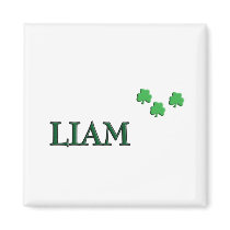 Liam Irish Name magnets