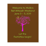Liana Claire Chocolate Pink Flyer