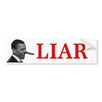 LIAR BUMPER STICKER