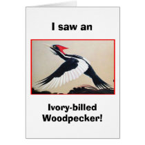 "Liars" CARD by jimcirin "Liars" CARD
