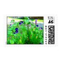 liatris and morning glories postage