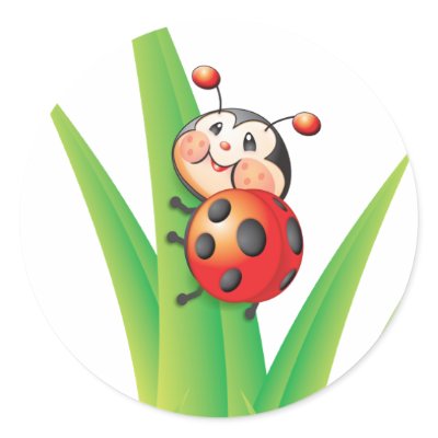 ladybug ladybug