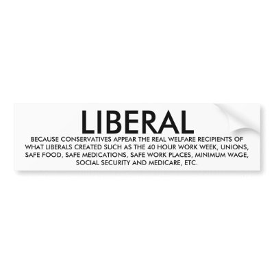 LIBERAL BUMPER STICKER by maximus7