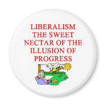 LIBERAL delusion magnets