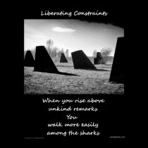 Liberating Constraints Poster posters