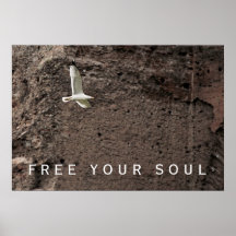 Libere su alma - poster de la gaviota del vuelo