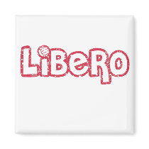 Libero Volleyball Magnet