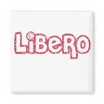 Libero Volleyball magnets