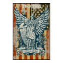Libertas Goddess of Liberty Poster posters