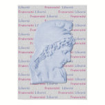 Liberté, Egalité, Fraternité French Liberty Poster posters
