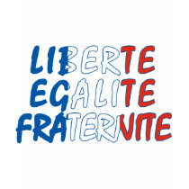 Liberte Egalite Fraternite Products t-shirts