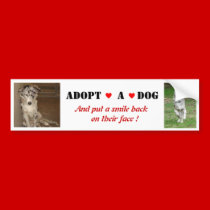 Liberty Adopt a dog Bumper Sticker bumper stickers