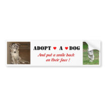 Liberty Adopt a dog Bumper Sticker bumper stickers by Mel669 Liberty Adopt a dog Bumper Sticker bumper stickers