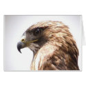 Liberty cards