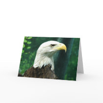 Liberty cards