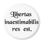 Liberty is a thing beyond all price. magnets