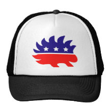 Liberty porcupine hat