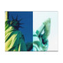 liberty statue book post card