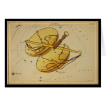 Libra cards