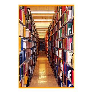 Library Stacks print