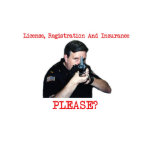 License Registration Dark Shirt Kids