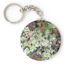 Lichen, Ainsworth Bay, Tierra del Fuego, Chile Key Chains