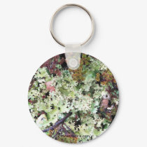 Lichen, Ainsworth Bay, Tierra del Fuego, Chile keychains