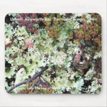 Lichen, Ainsworth Bay, Tierra del Fuego, Chile mousepads