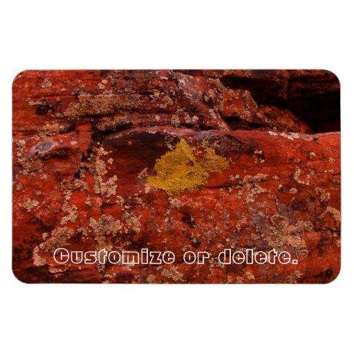 Lichen in the Desert; Customizable Vinyl Magnets