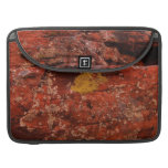 Lichen in the Desert MacBook Pro Sleeve
