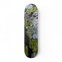 lichen on bark skate boards