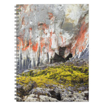 Lichen on Sea Beach Rock Spiral Note Books