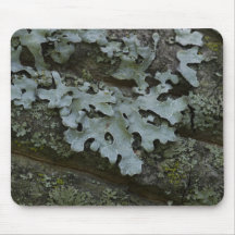 lichen-on-tree-2012-05-20 mousepads