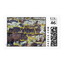 Lichens #3 postage stamps