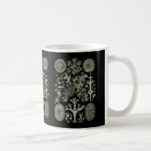 Lichens Coffee Mugs