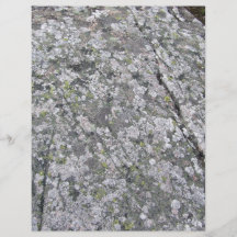 Lichens on Huge Rock Texture Custom Flyer