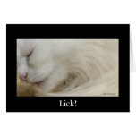 Lick! cards