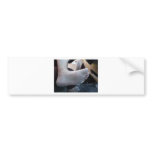 LICK MY FOOT CLEAN! BUMPER STICKERS