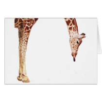 "Licker" Giraffe Wildlife Animal Watercolor cards by PaulJacksonart "Licker" Giraffe Wildlife Animal Watercolor cards