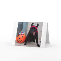 Licker Treat cards by donahuekm Licker Treat cards