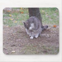 Lickin' My Paw, Mousepad by SusanParsons Lickin' My Paw, Mousepad