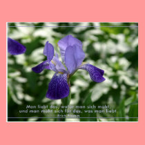 Liebe postcards