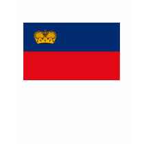 Liechtenstein Flag T-shirt by FlagTshirts Liechtenstein Flag T-shirt