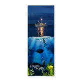 Life Above and Below the Sea print