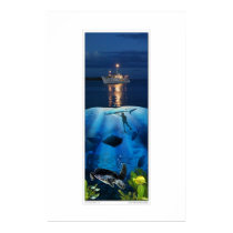 Life Above and Below the Sea posters